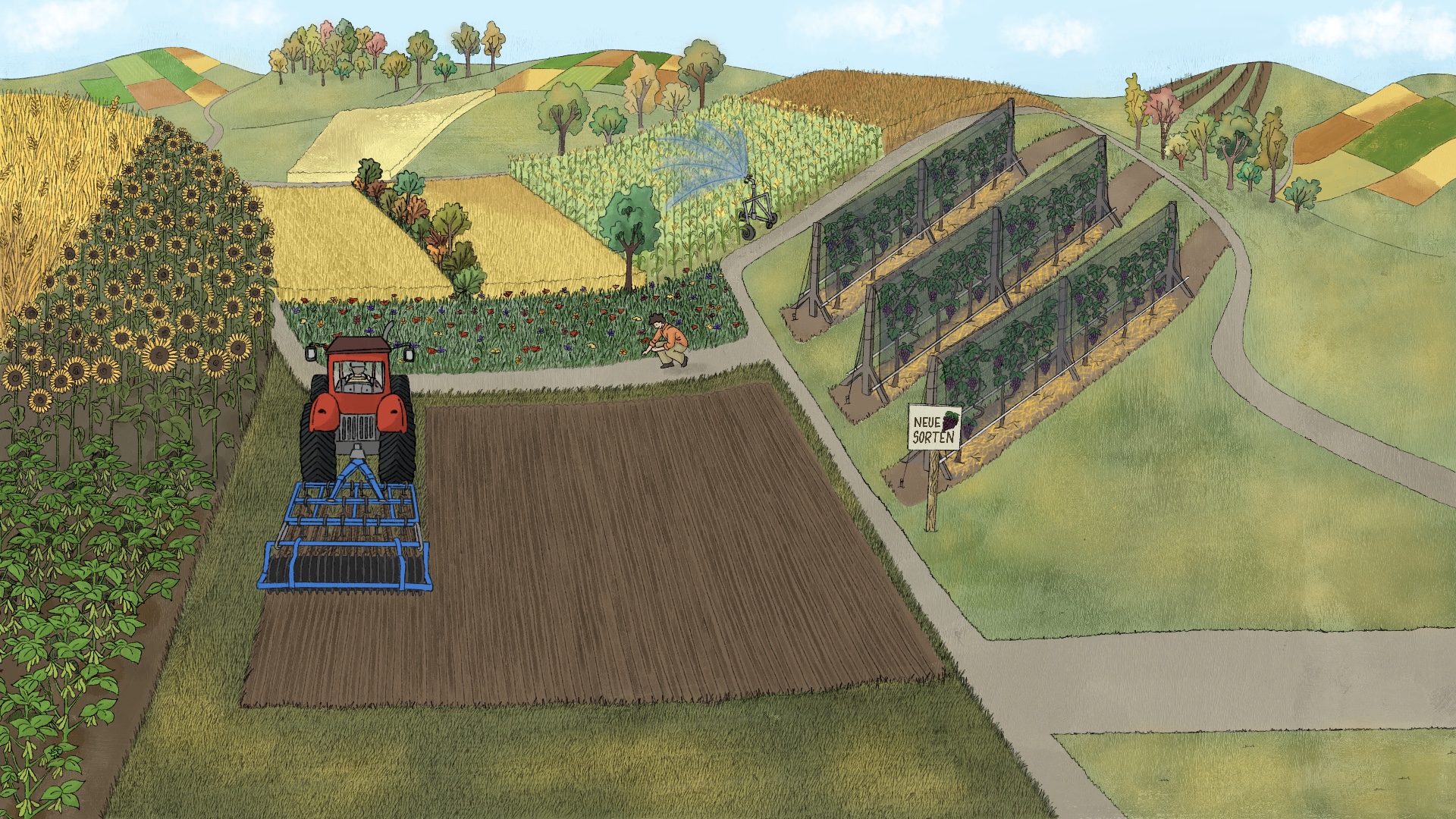 Landwirtschaft Anpassung